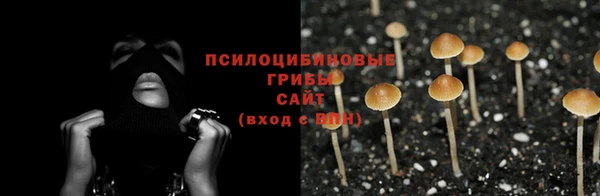 марки lsd Богданович