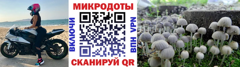 Купить закладки  Тутаев  Псилоцибиновые грибы ЛСД 